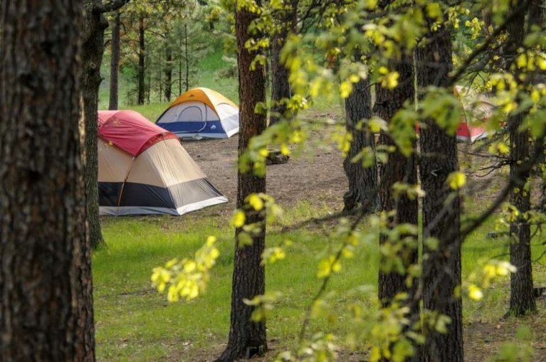 Hotzenwald Online / Tourismus / Zeltplätze & Camping